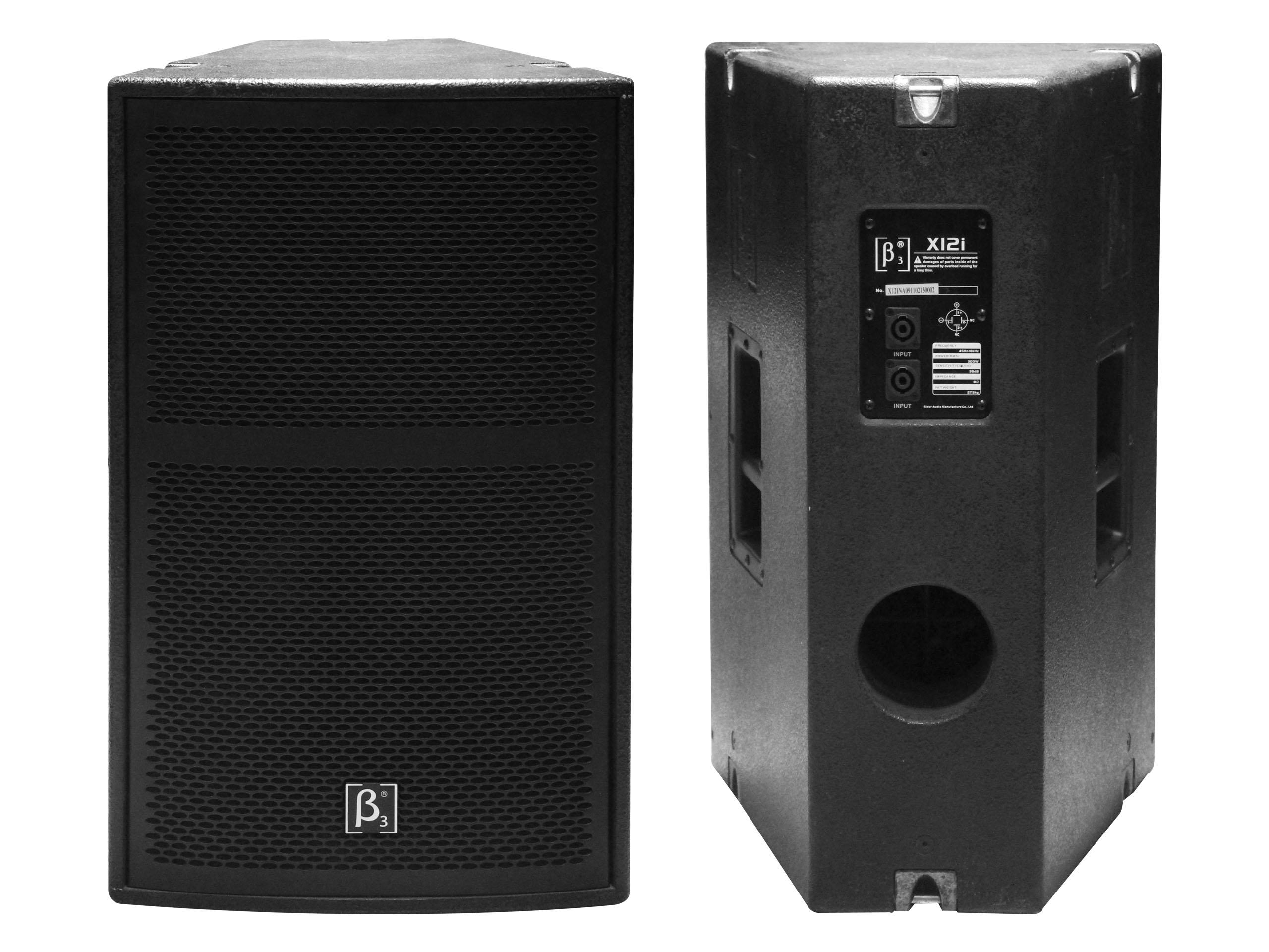 Beta Three 12" Two-Way Full Range Speaker