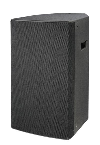 12" Professional Passive Speaker