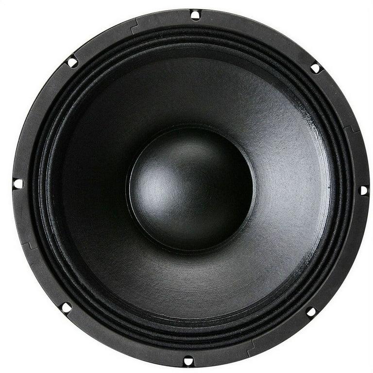 12" Professional Speaker Driver